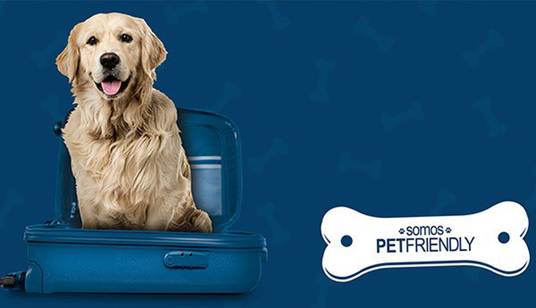 ¿quieres viajar con tu mascota? Hotel ILUNION Atrium Madrid